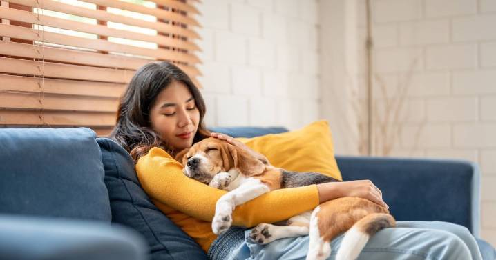 Dogs often dream about their lives just like humans and have nightmares too