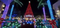 Where to see holiday lights in Broward - South Florida on the Cheap
