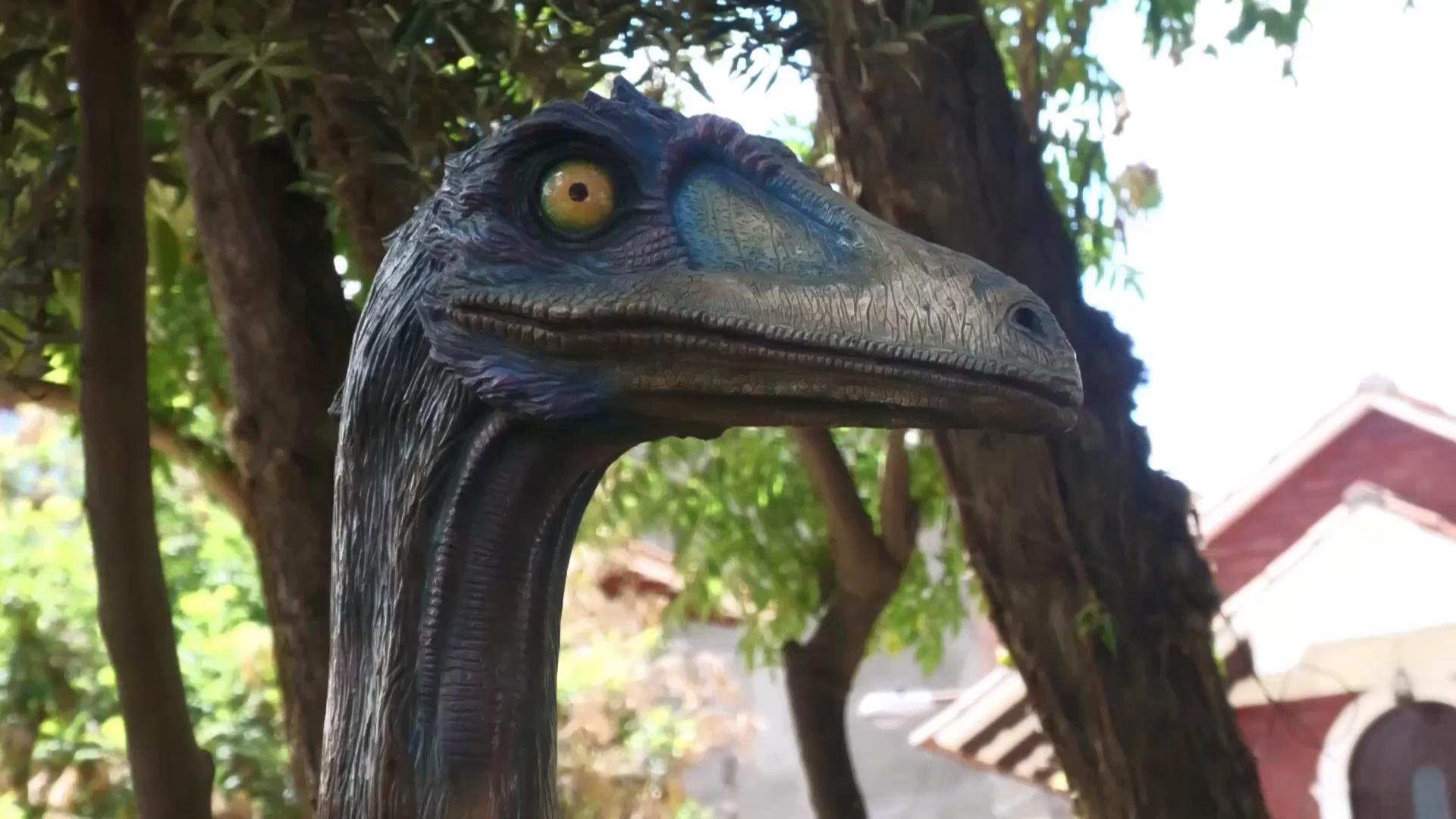 Scientists document largest trove of dinosaur footprints in central Bolivia