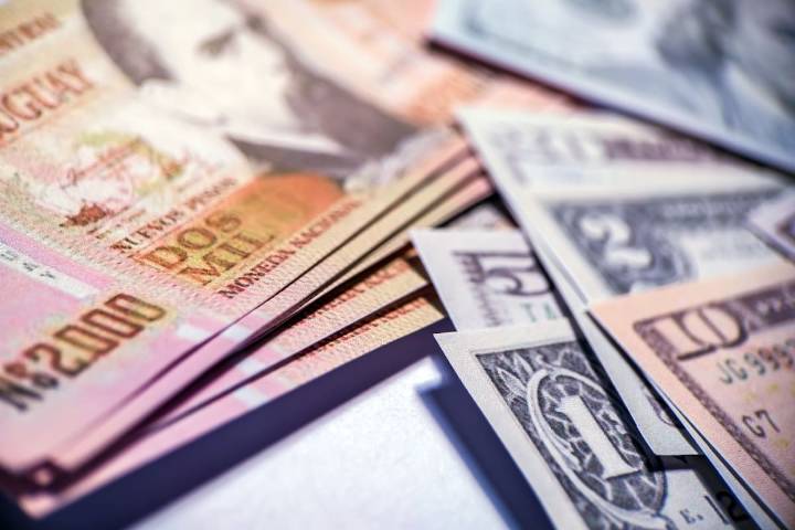 A cuánto cotiza el peso uruguayo oficial y el blue este jueves 11 de diciembre