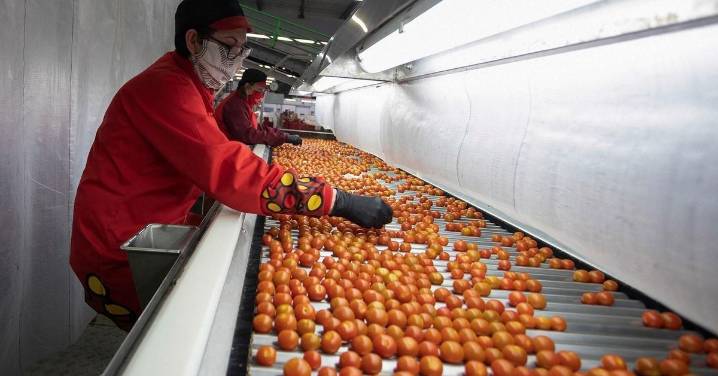 Desconvocan la huelga del manipulado tras conseguir mejoras salariales para los trabajadores