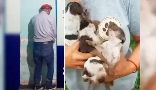 Concepción: Condenaron al hombre que enterró vivos a cachorros