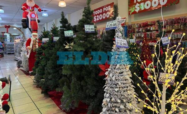 El costo de la Navidad: ¿cuánto sale armar el arbolito en La Plata?