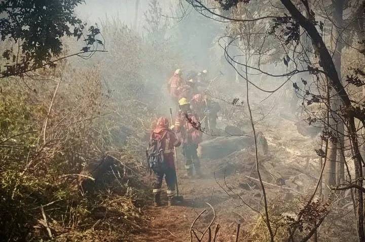 Chubut: incendios forestales en Lago Puelo llevan consumidas tres mil hectáreas de bosque nativo