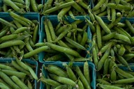 Beloved 139-year-old fruit and vegetable company in bankruptcy