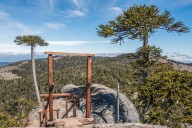 Lugares turísticos en Chile: cómo llegar al Parque Nacional Nahuelbuta