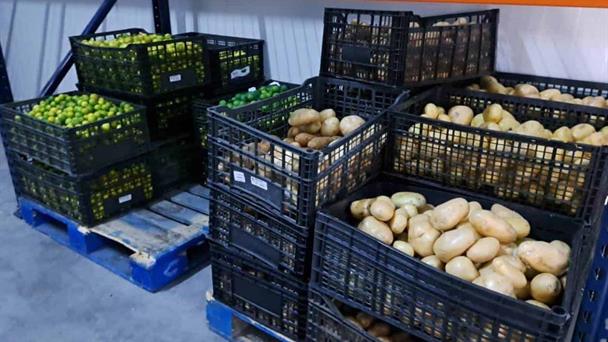 Negocios se preparan para temporada de alta demanda