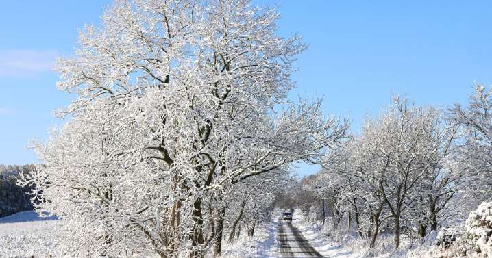 Met Office issues major white Christmas and New Year verdict as update issued