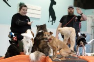 How to keep a hound happy in Clark County