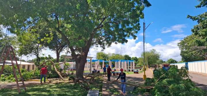 Profundizan embellecimiento de espacios públicos en Temblador