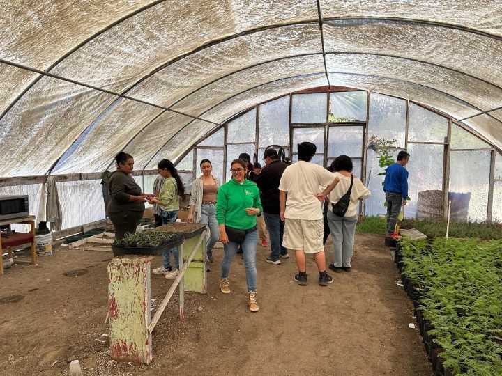 Promueve Gobierno de Tijuana talleres de Huertos y Jardines Polinizadores
