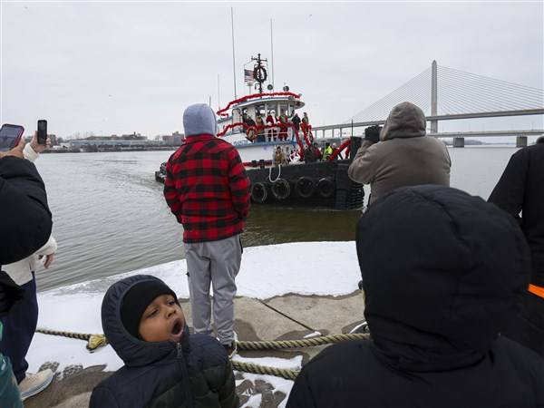 Photo gallery: Christmas trees shipped to National Museum of Great Lakes