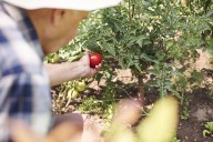 La salud mental en el sector agrario: diez recomendaciones