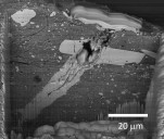 NASA detecta en el antiguo asteroide Bennu compuestos esenciales para la vida