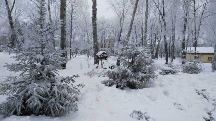 New York Snowfall Numbers Reveal A Wild Start To Winter