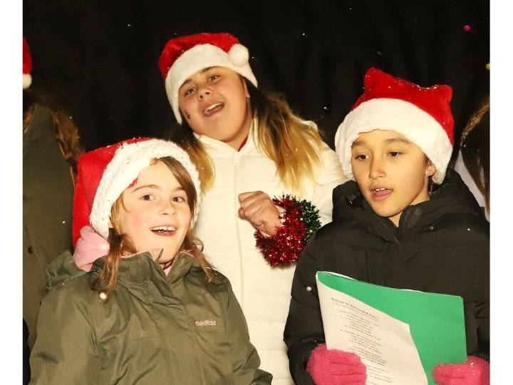 Gallery: Greater Sudbury holds festive tree lighting ceremony
