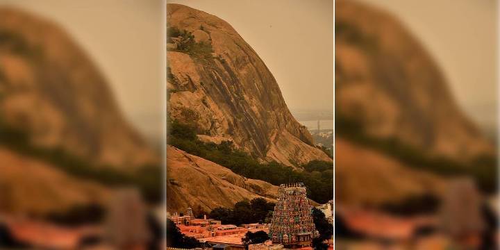 Madras High Court seeks factual clarity, questions basis of order allowing lamp on pillar at Thirupparankundram