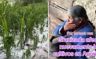 Adulta mayor rompe en llanto al ver cómo la granizada destruye su cultivo de maíz: "Así es la vida del agricultor"