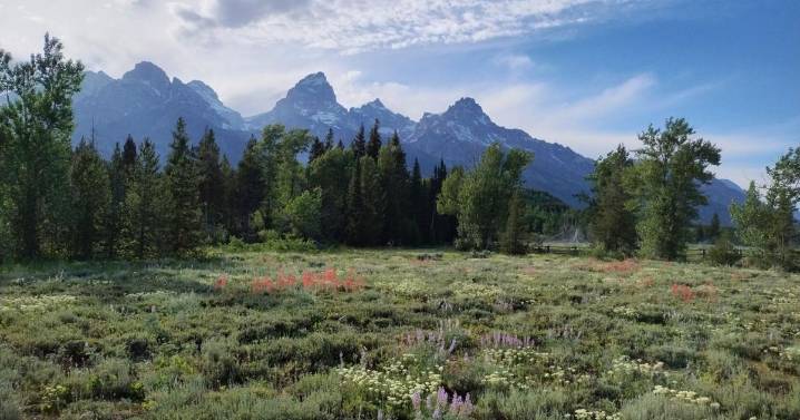 Foreigners to pay more to enter national parks beginning next year