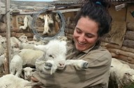 Surpik Kabaradjian, la veterinaria argentina que impulsa la salud pública global desde Miami