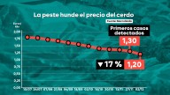 El precio del cerdo sufre una caída histórica en España: baja un 17% en 24 horas tras la detección de la peste porcina