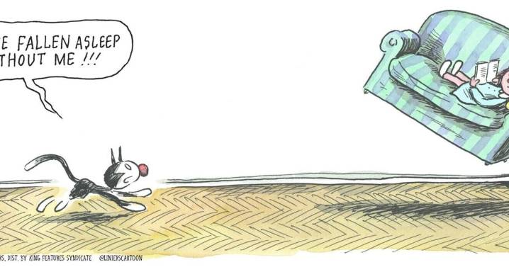 The 20 best fiction and nonfiction books