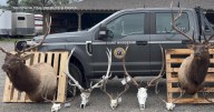 Montana continues to see high number of poaching cases