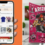 Arizona sues Chinese-owned e-tailer Temu for alleged consumer fraud, privacy violations