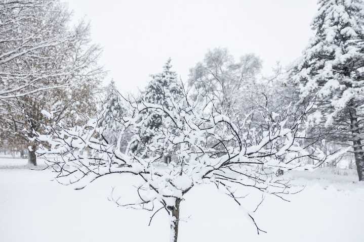 Clio man killed, 7 Texans injured in rural Saginaw County crash