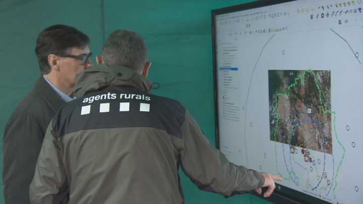 Aínda non se confirma nin descarta nada sobre a orixe do foco de peste porcina de Barcelona