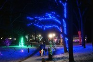 Weekend events roundup: Christmas is very much in the air around the region