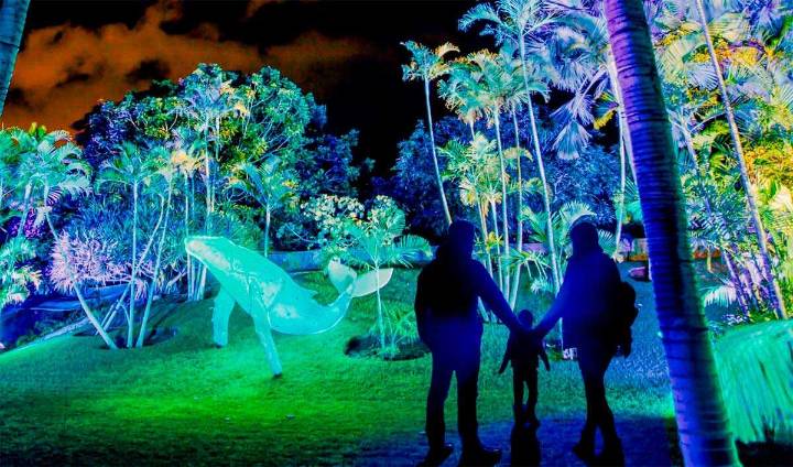 Chueca responde a Vox por Boreal: “Es un espectáculo coorganizado y totalmente legal”