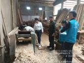 Corporinoquia refuerza el control al tráfico de flora silvestre en Arauca