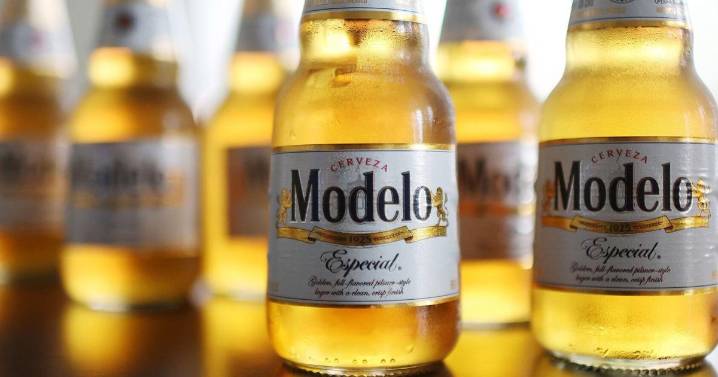 Modelo and Corona are unexpected casualties of Trump’s immigration crackdown