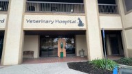 Roban cenizas de mascotas de hospital veterinario en Brentwood