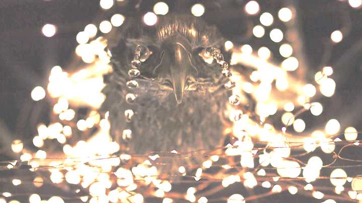 Immersive art experience Time Drop turns back time at Miami Art Week