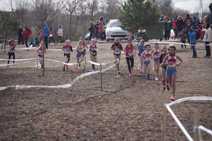 Novés celebra la final regional de la modalidad de Campo a través con 620 deportistas escolares