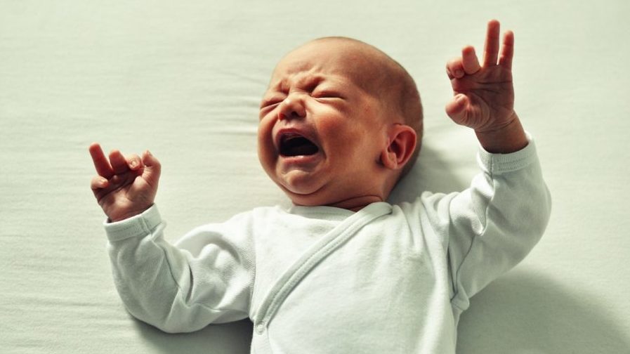 Newborn Begs to Go Back In After Seeing Dad's Face