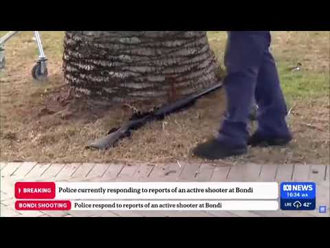 11 killed in Australian shooting targeting Jewish community, premier says