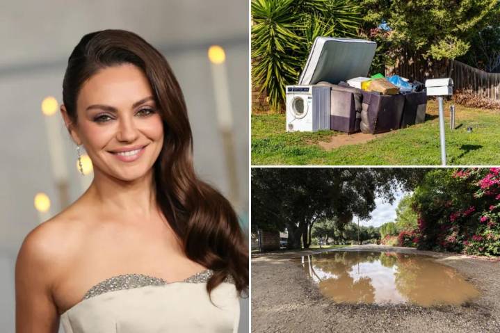Mila Kunis heads her local homeowners association