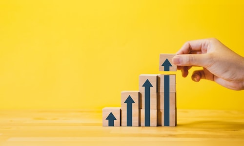 AMFI Rejig: Muthoot Fin, LG India set to enter 'largecap' category; REC, Bajaj Housing may see downgrade