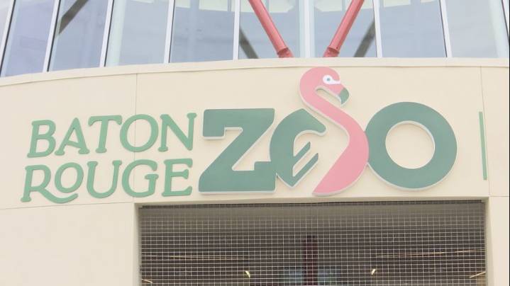 Judge dismisses lawsuit over exotic pigeon biting child at Baton Rouge Zoo