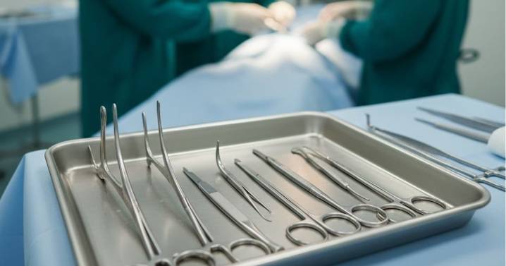 Pidió una rinoplastia como regalo de XV años y terminó con un infarto cerebral: el caso de Fernanda, joven de 15 años