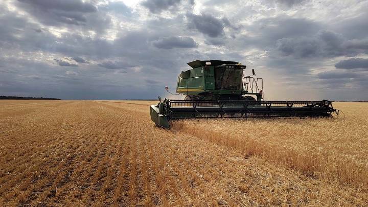 La campaña triguera tendrá un valor de US$ 1.320 millones en la Provincia