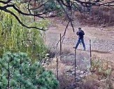 Detienen a presunto halcón en Guachochi