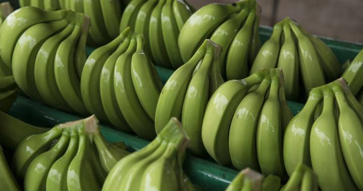 Gut doctor says make sure bananas aren't ripe when you eat them