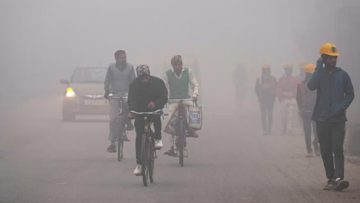 Rajasthan shivers as cold wave strengthens; Fatehpur records 2.3°C