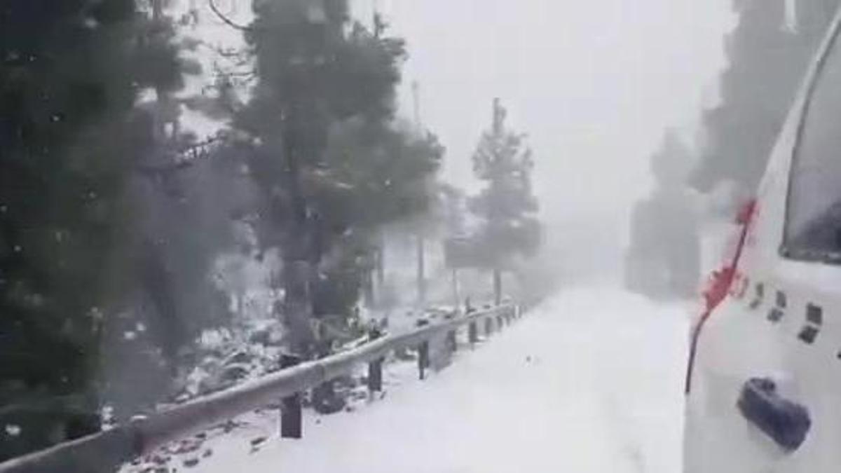 Trabajos de la Guardia Civil en Tenerife