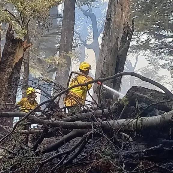 Hardie resaltó el trabajo nacional en prevención y apoyo a provincias frente a los incendios