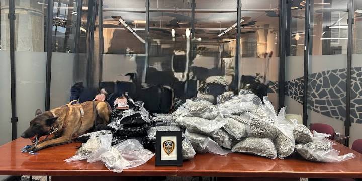 Jefferson County Sheriff’s Office seizes 110 pounds of drugs in single operation